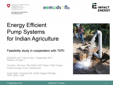 "Energy Efficient Pump Systems for Indian Agriculture" (EEMODS'17/ppp)