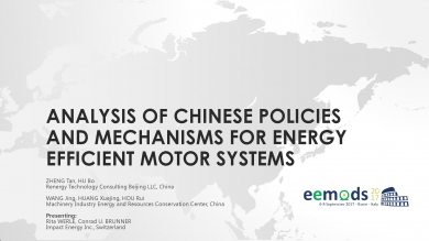 "Analysis of chinese policies and mechanisms for efficient motor systems" (EEMODS'17/ppp)