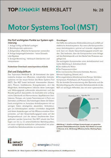 Merkblatt Nr. 28: Motor Systems Tool (MST)